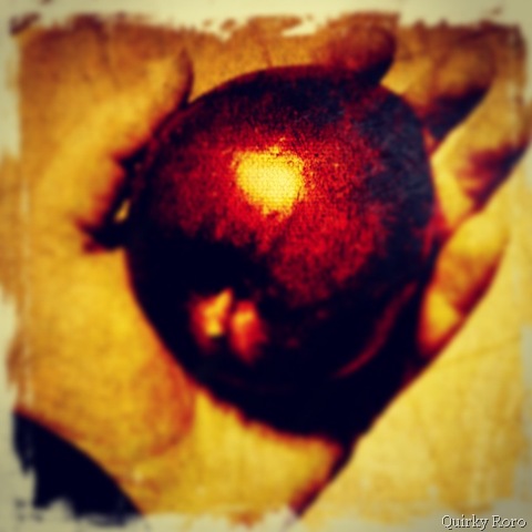 [Pictures%2520from%2520iphone%2520017%255B8%255D.jpg]