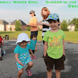 Summer in Woods - James Funnyhat