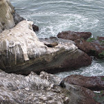 IMG_2711.JPG