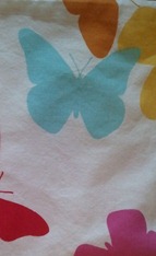 Butterflies Butterflies