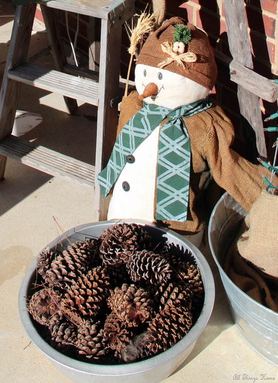 [pinecones%255B3%255D.jpg]