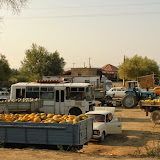 Asia - Uzbekistan - Edges of Kizilkum desert