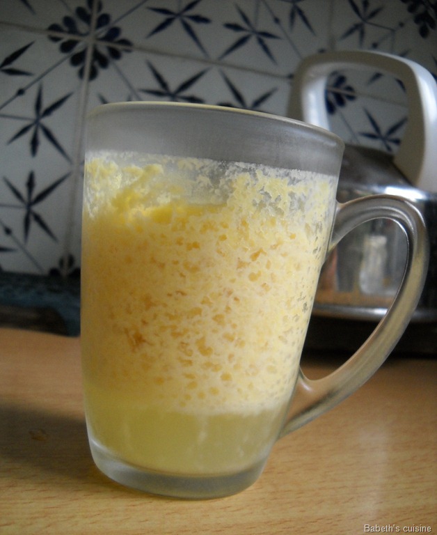 [mousse%2520ananas%2520tourn%25C3%25A9e%255B7%255D.jpg]