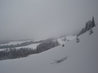 DSC07350.JPG