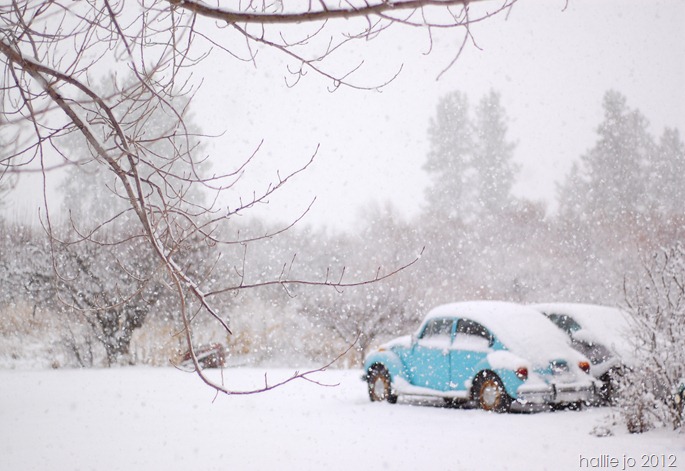 Snow4 Snow4