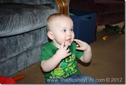 IMG_0940 IMG_0940