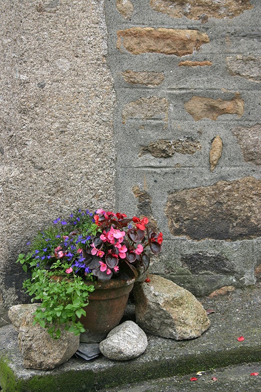 [040630_england_mousehole240%255B3%255D.jpg]