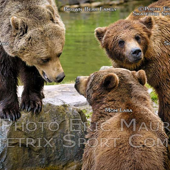 FOREST WILDLIFE PHOTO SHOW