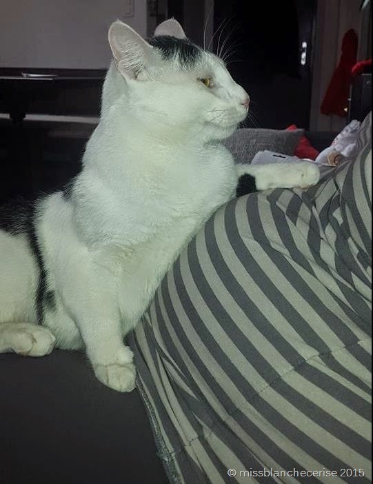 [tommy%255B7%255D.jpg]