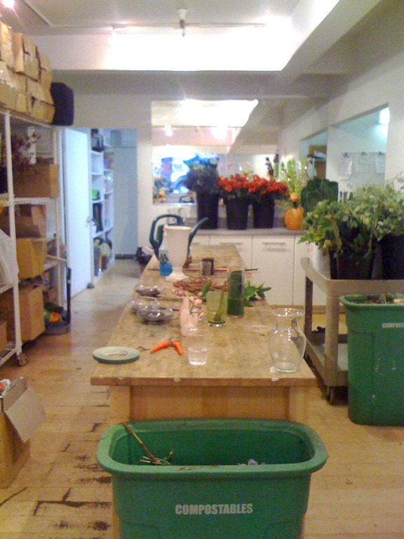 [Mandy_Scott_workshop6.jpg]