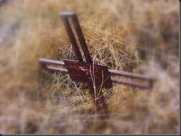 2010_1213caldera0047
