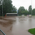 Elsen worden gekapt op het AV veld
