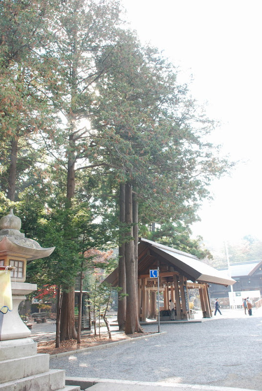 hokkaido_794.jpg