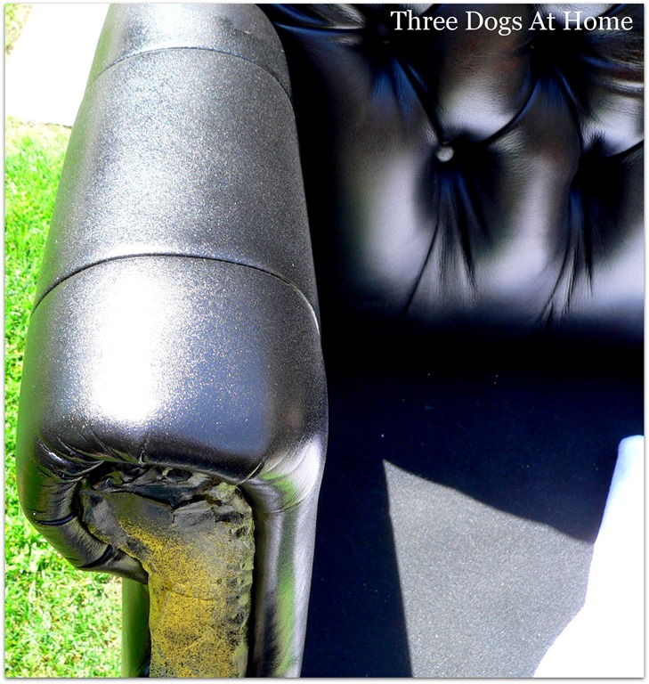 [vinyl-chair45.jpg]