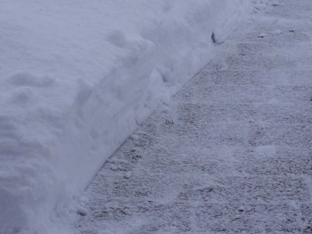 [DSC05479%255B3%255D.jpg]