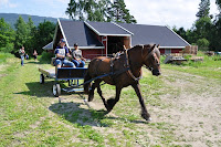 DSC_0606.JPG