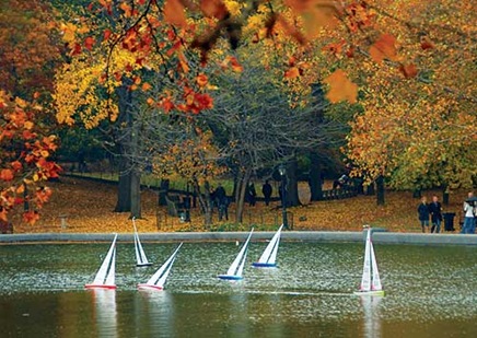 sailboats-fall-l sailboats-fall-l