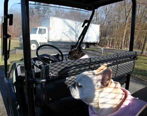 Wow Francesca, that is one big truck!  It even had to use the service entrance to get on the property!