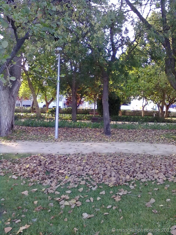 [070920121194%255B3%255D.jpg]