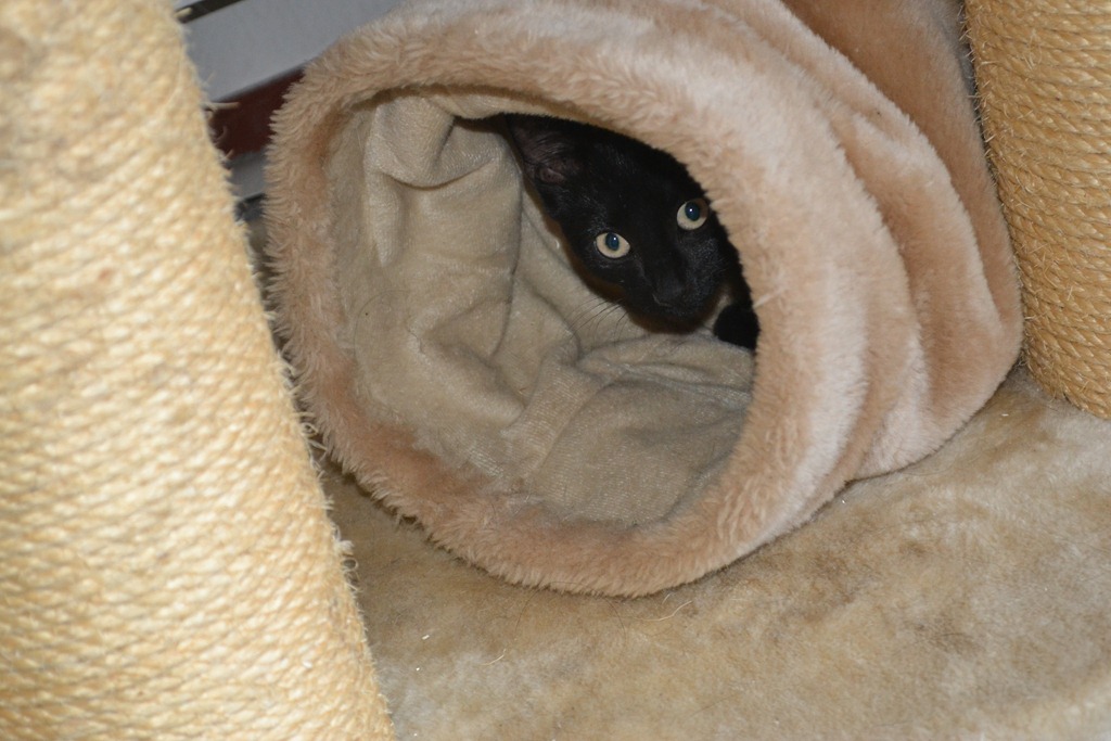 [DSC_0046%255B3%255D.jpg]