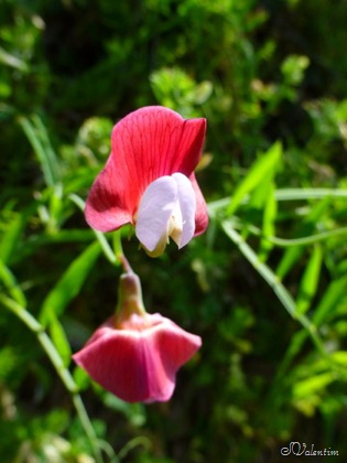 [P1030090%255B4%255D.jpg]