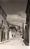 Sargantana-4.jpg