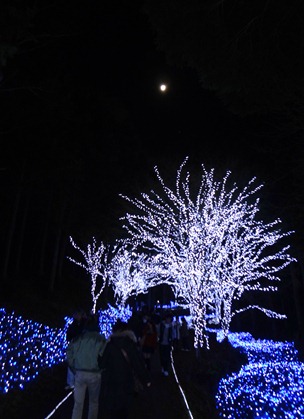 DSC01650 DSC01650