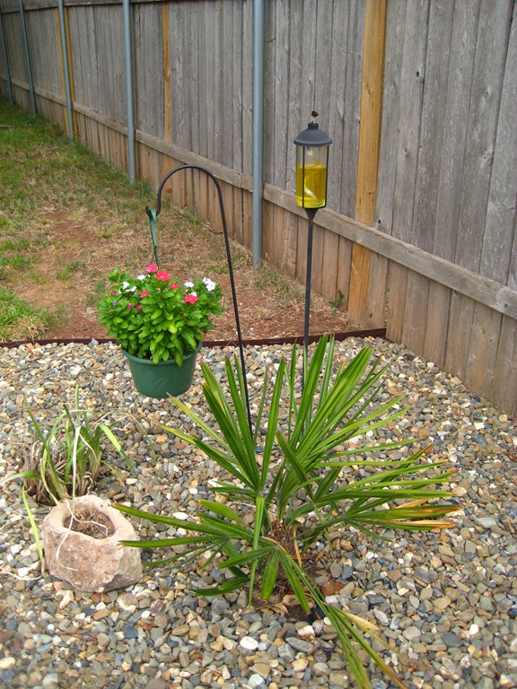 [IMG_3474%255B5%255D.jpg]