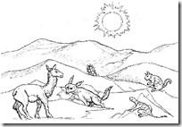 Desierto Desierto