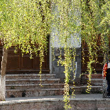 Shuhe