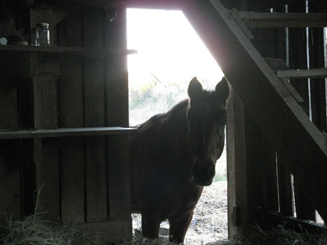 [IMG_5041%255B2%255D.jpg]