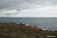 IMG_7992.JPG Photo