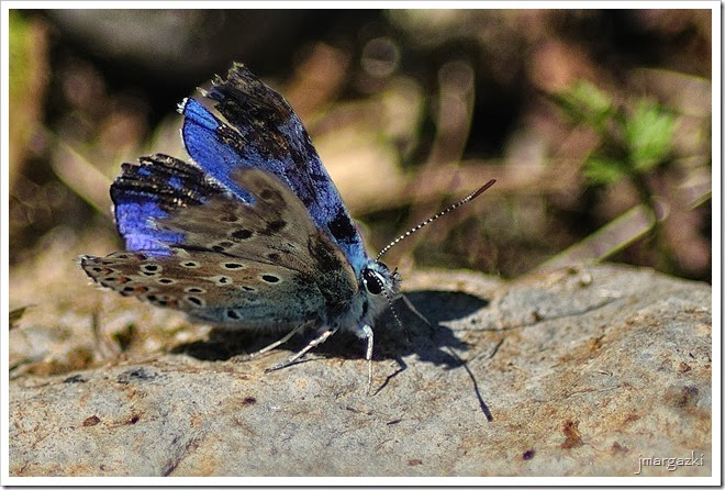 DSC_7770_01 DSC_7770_01
