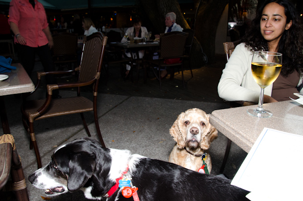Black Marlin Bayside Grill