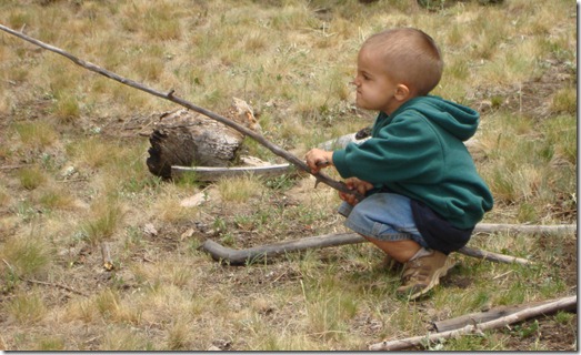 DIG102007 313