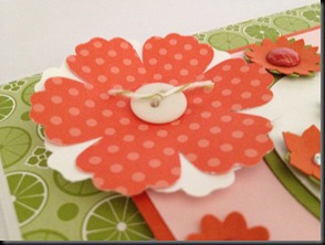 IMG_0765 IMG_0765