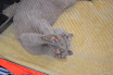 DSC_0375.JPG
