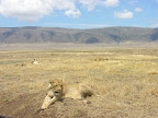 DSCN6775.JPG