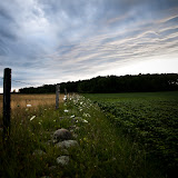 "Farm Living" - copyright Lacie Meier
