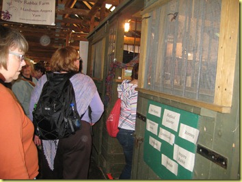 IMG_2087 IMG_2087