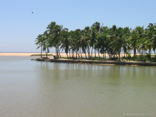 [IMG_1331%255B3%255D.jpg]