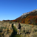IMG_8183.JPG
