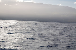DSC_0834.JPG