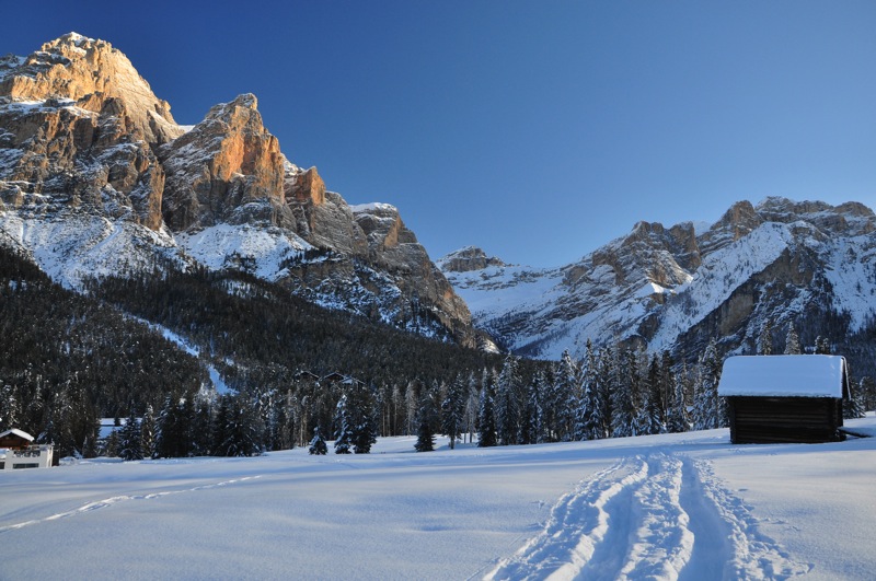 DSC_5979.JPG DSC 5979