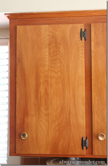 cabinet_hinges_transformation (1)