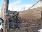 The Art of Snipping Kindling