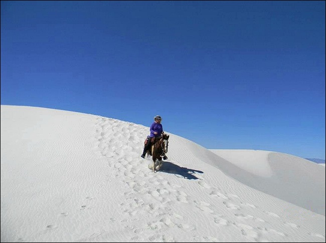 WSC39