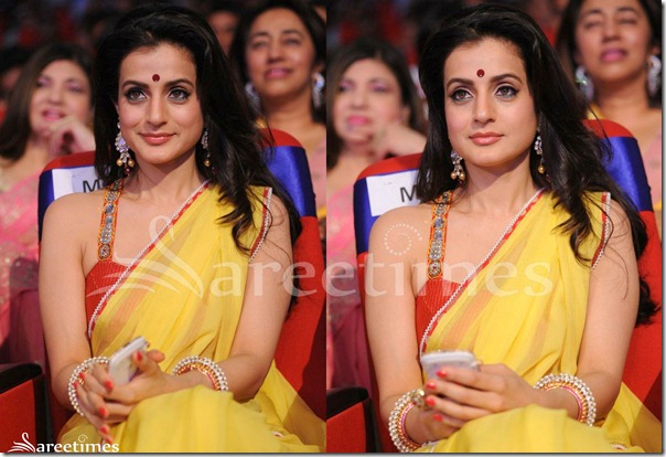 Amisha_Patel_Sleeveless_Saree_Blouse