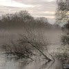 dsc07397.jpg