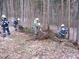 Brandeinsatz - Waldbrand in Schattauberg 